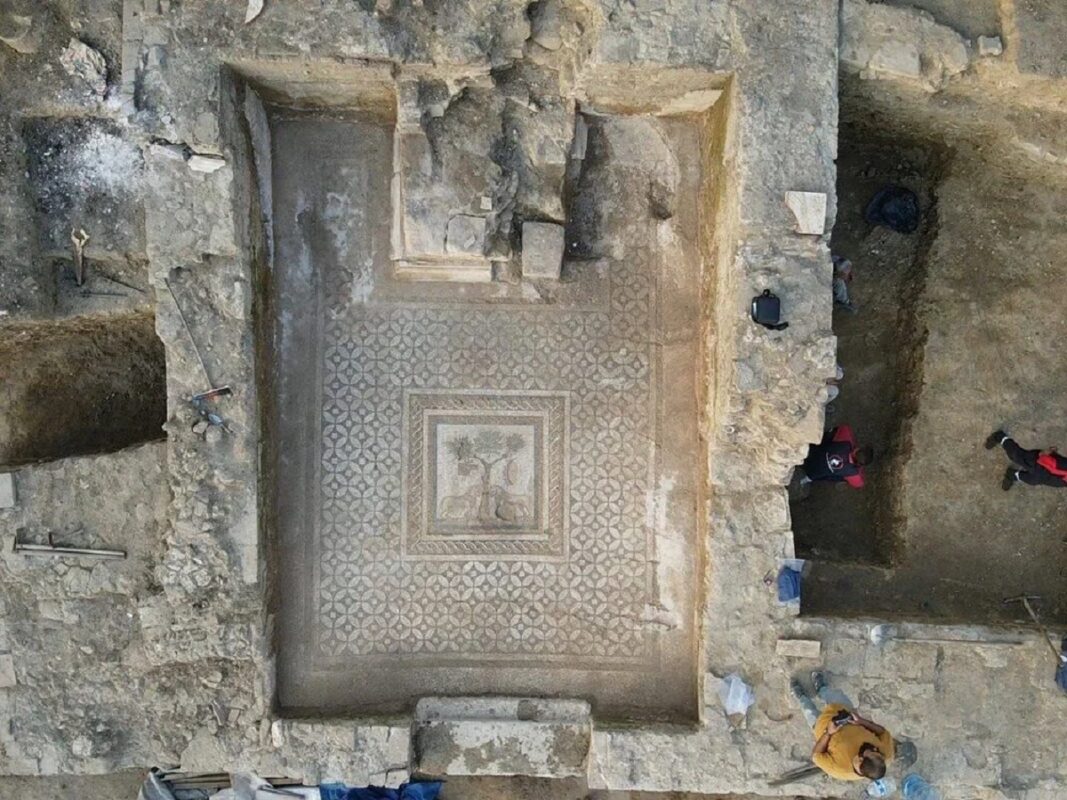 Ανασκαφές έφεραν στο φως εντυπωσιακό αρχαιοελληνικό ψηφιδωτό με λιοντάρια