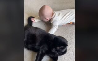 Αξιολάτρευτο βίντεο: Ένα μωράκι λατρεύει να παίζει με τον γάτο – αδελφό του και το TikTok «λιώνει»