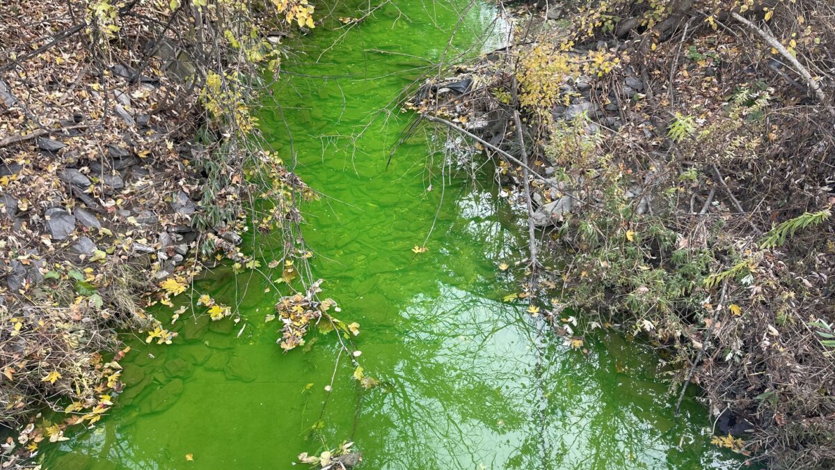 Πράσινο Ρέμα Πενσυλβάνια