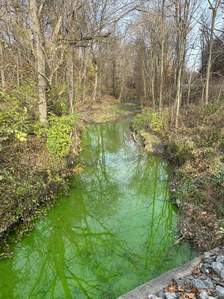 Πράσινο Ρέμα Πενσυλβάνια 