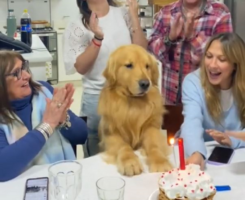 Ξεκαρδιστικό βίντεο – Η αντίδραση ενός σκύλου όταν του τραγουδούν το Happy Birthday, θα σας κάνει να «λιώσετε»