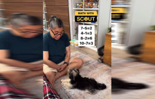 Χαριτωμένο βίντεο: Σκύλος λύνει μαθηματικά προβλήματα σαν επαγγελματίας