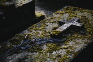 Τα 7 πλάσματα που σχετίζονται με τον θάνατο – Από τα κοράκια μέχρι τις… λιβελούλες