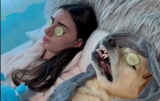 Ξεκαρδιστικό βίντεο: Σκύλος αποκοιμήθηκε ενώ απολάμβανε το σπα του