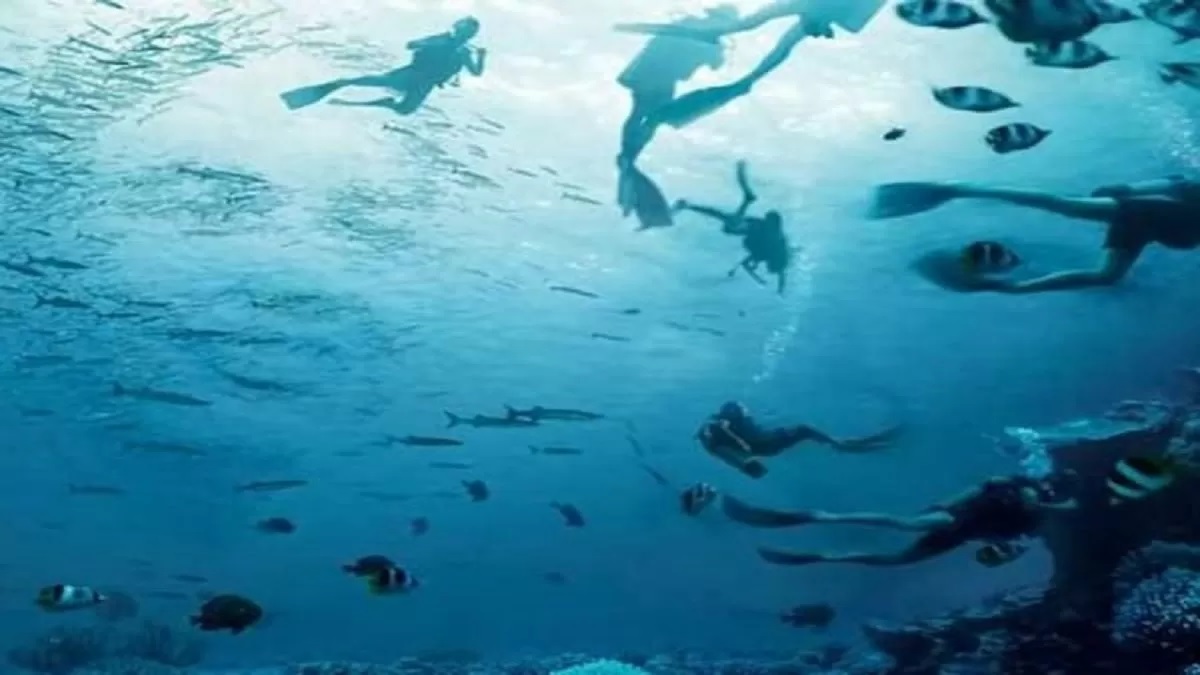 Τεστ προσωπικότητας Οπτική ψευδαίσθηση ψάρια δύτες πρόσωπα
