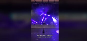 Απολαυστικό βίντεο: Σκύλος τρύπωσε σε πρόβα συναυλίας και ξετρελάθηκε