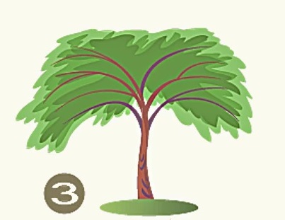 Τεστ προσωπικότητας δέντρο