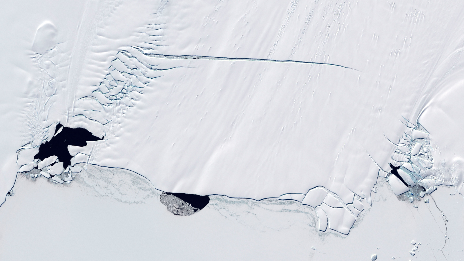 Ανταρκτική Πάγος polynyas