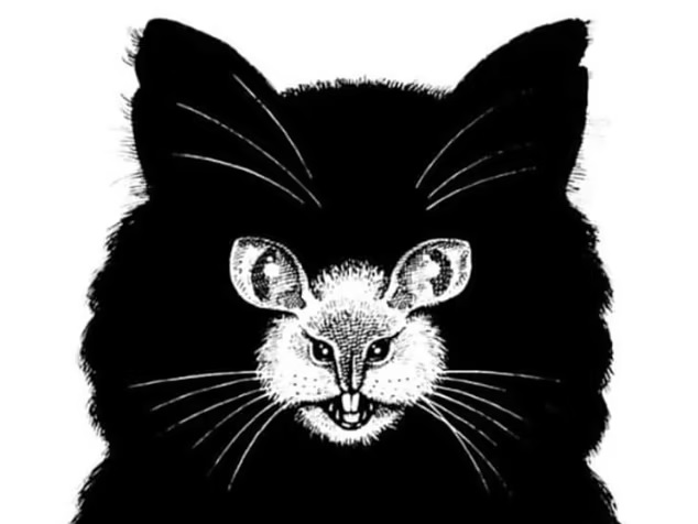 Τεστ προσωπικότητας Οπτική ψευδαίσθηση γάτα ποντίκι