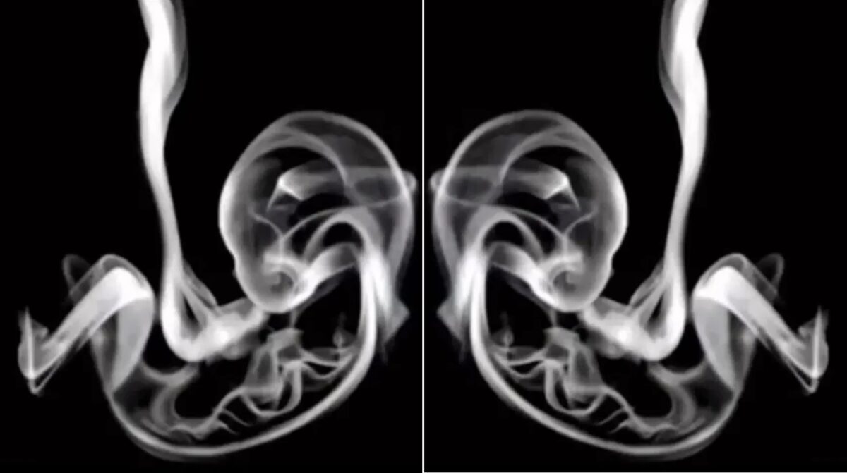 Τεστ προσωπικότητας οπτική ψευδαίσθηση καπνός έμβρυο