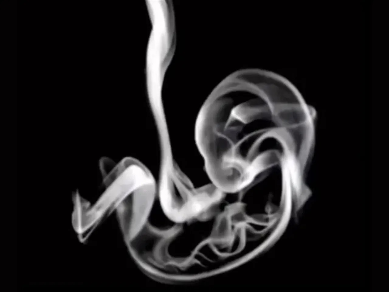 Τεστ προσωπικότητας οπτική ψευδαίσθηση καπνός έμβρυο