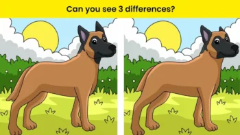 Τεστ παρατηρητικότητας: Μπορείς να εντοπίσεις τις 3 διαφορές σε 15 δευτερόλεπτα;