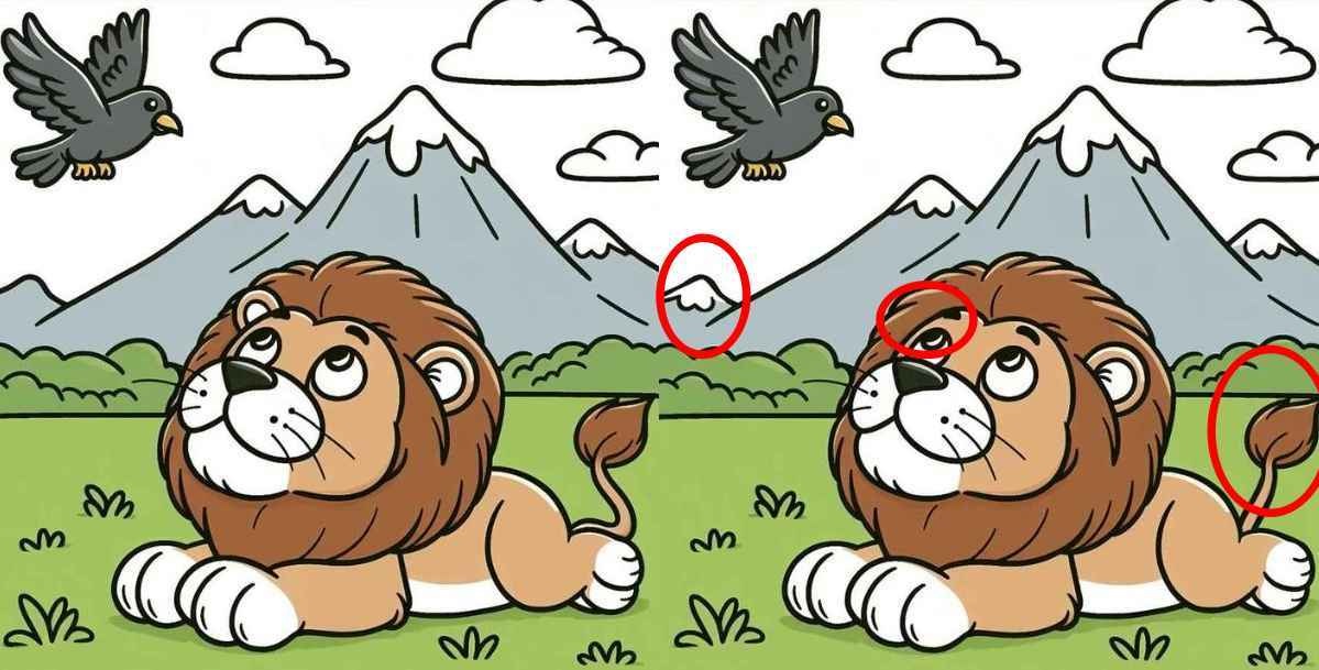 Τεστ παρατηρητικότητας διαφορές λιοντάρι κοράκι λύση