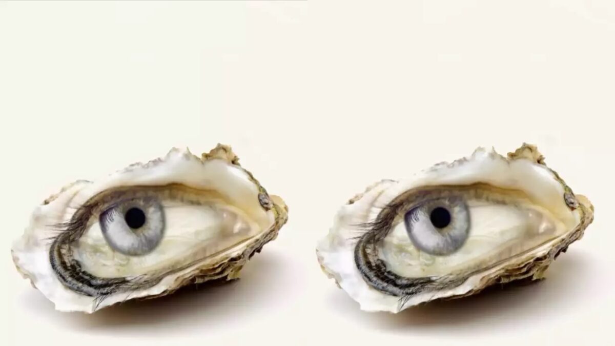 Τεστ προσωπικότητας οπτική ψευδαίσθηση