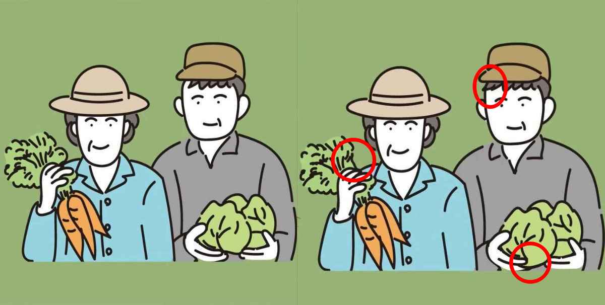 Τεστ παρατηρητικότητας,διαφορές, αγρότες, λύση