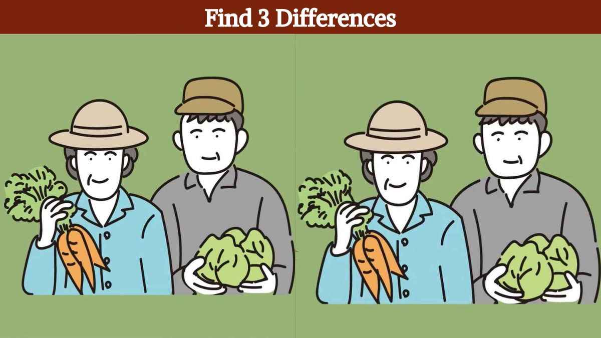 Τεστ παρατηρητικότητας,διαφορές, αγρότες