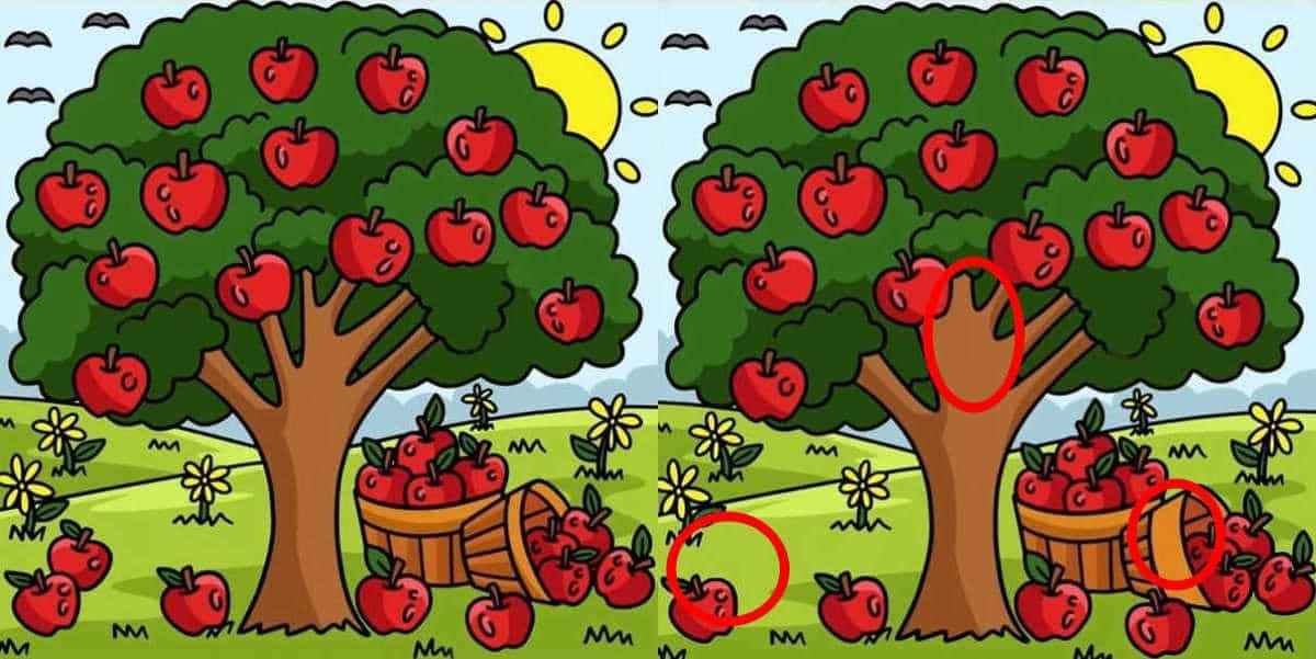 Τεστ παρατηρητικότητας διαφορές μηλιά λύση