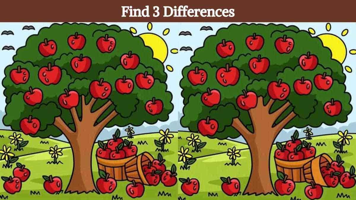 Τεστ παρατηρητικότητας διαφορές μηλιά