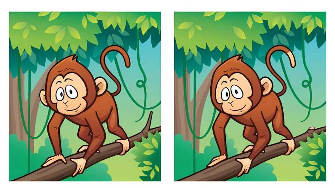 Τεστ παρατηρητικότητας διαφορές μαϊμού