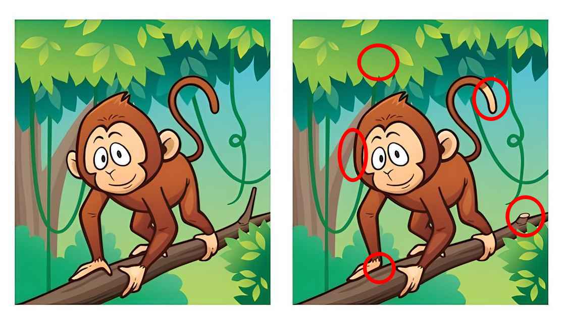 Τεστ παρατηρητικότητας διαφορές μαϊμού λύση