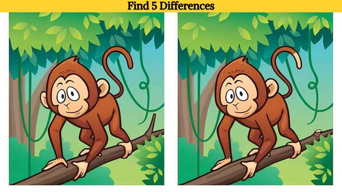 Τεστ παρατηρητικότητας διαφορές μαϊμού