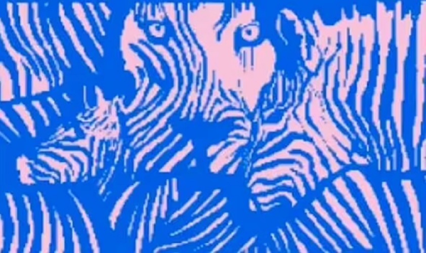 Τεστ προσωπικότητας Οπτική ψευδαίσθηση