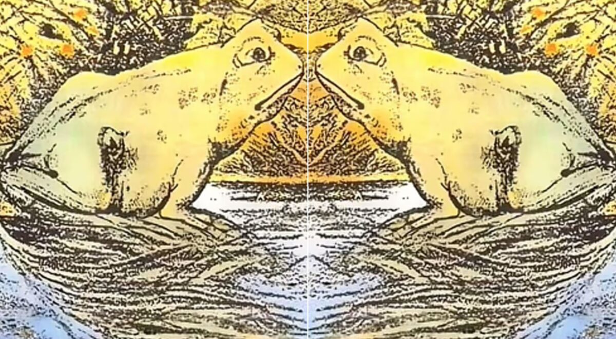 Τεστ προσωπικότητας Οπτική ψευδαίσθηση