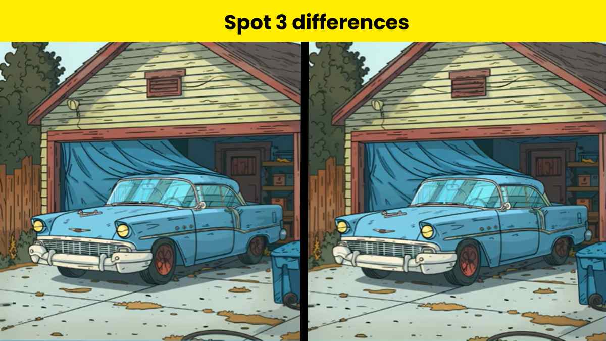 Τεστ παρατηρητικότητας, διαφορές , Αυτοκίνητο