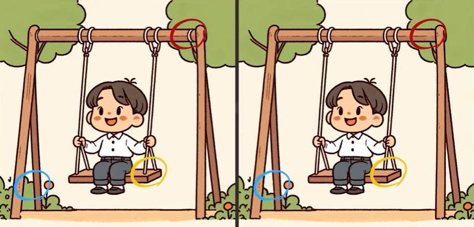 Τεστ παρατηρητικότητας, διαφορές, αγόρι, κούνια λύση