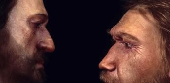 Η παράξενη αλήθεια για τη σεξουαλική ζωή των Νεάντερταλ