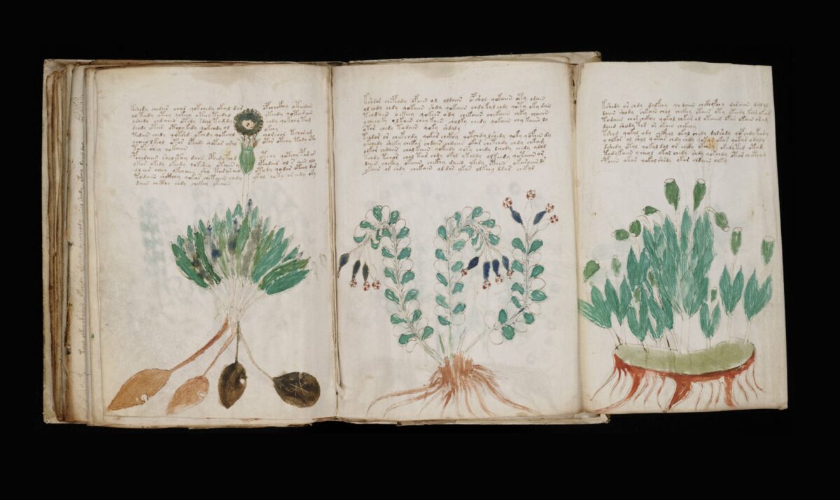 χειρόγραφο Voynich