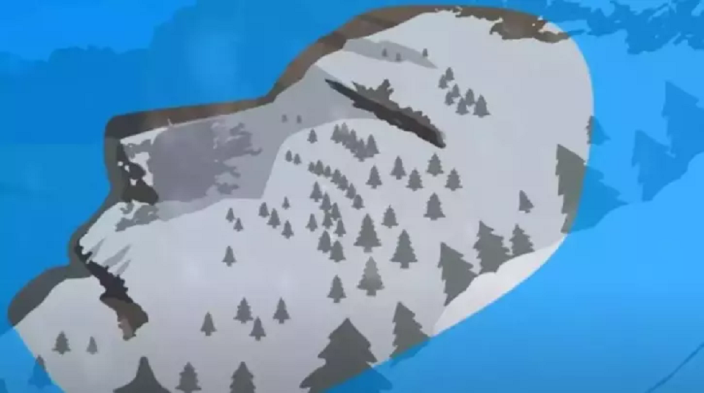 τεστ οπτικής ψευδαίσθησης