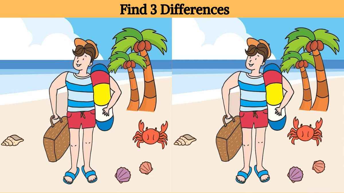 Τεστ παρατηρητικότητας, διαφορές, άνδρας παραλία