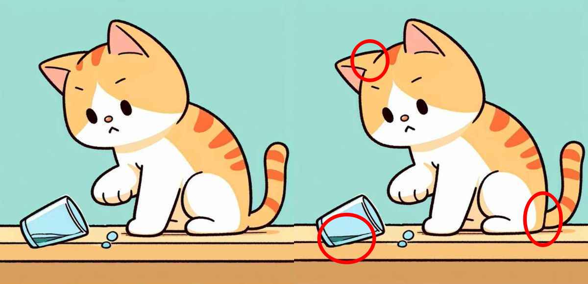 Τεστ παρατηρητικότητας, διαφορές, γάτα λύση