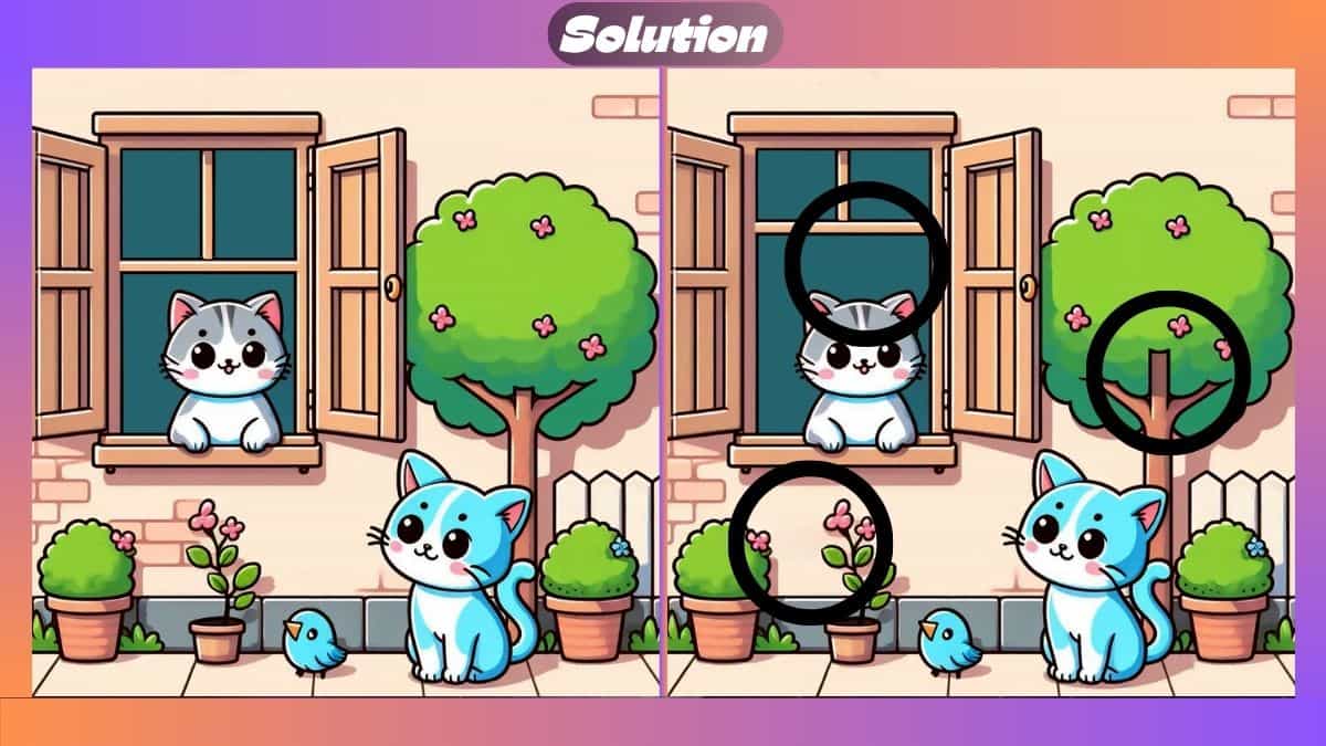 Τεστ παρατηρητικότητας, διαφορές, γάτες λύση