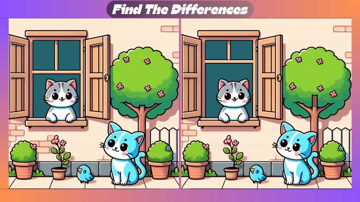 Τεστ παρατηρητικότητας, διαφορές, γάτες