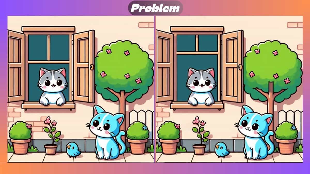 Τεστ παρατηρητικότητας, διαφορές, γάτες