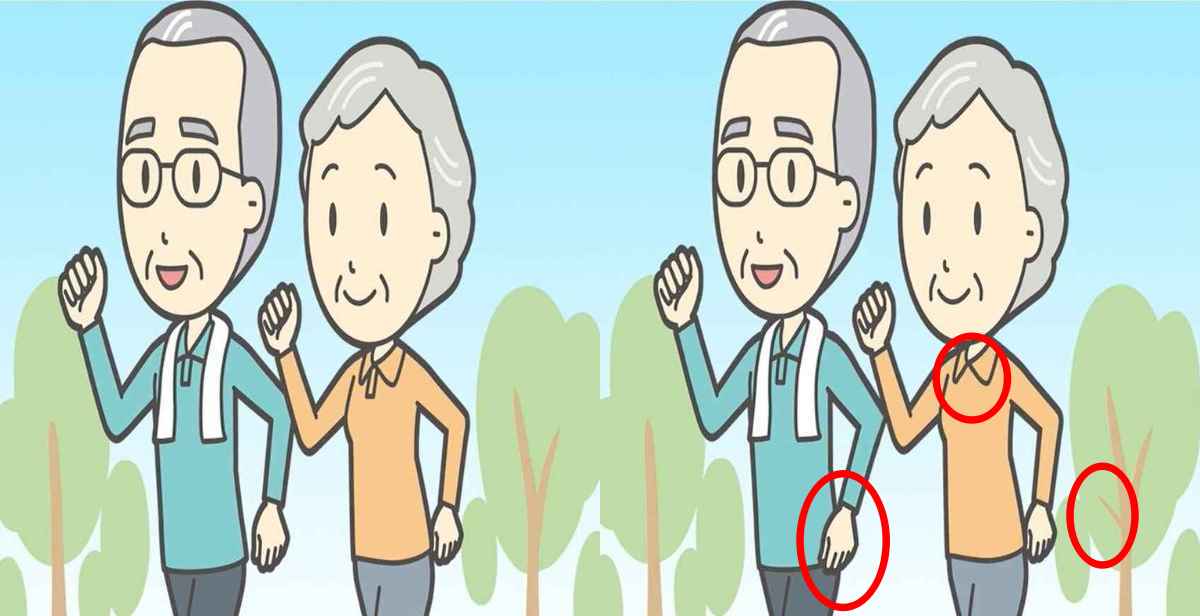 Τεστ παρατηρητικότητας, διαφορές, ηλικιωμένο ζευγάρι λύση