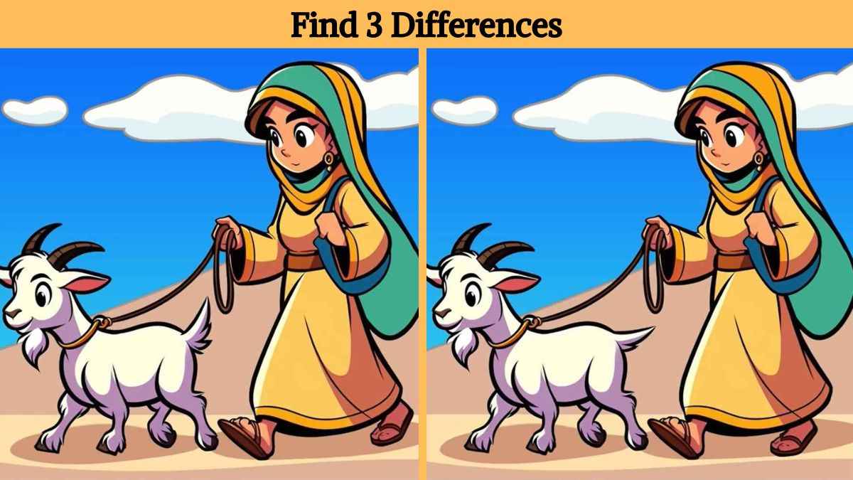 Τεστ παρατηρητικότητας, διαφορές, κοπέλα, κατσίκα