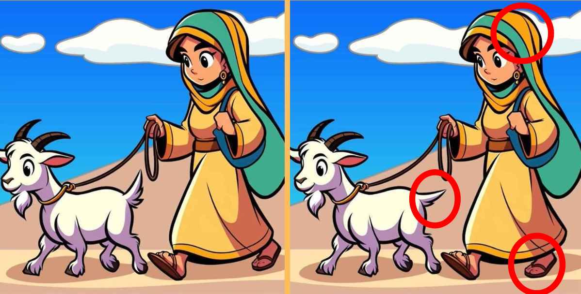 Τεστ παρατηρητικότητας, διαφορές, κοπέλα, κατσίκα λύση