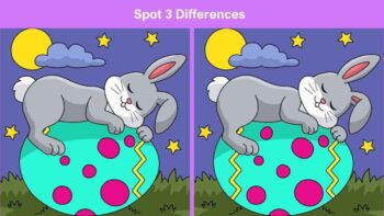 Τεστ παρατηρητικότητας: Μπορείτε να βρείτε τις 3 διαφορές στις εικόνες με ένα λαγουδάκι πάνω σε ένα πασχαλινό αυγό σε 11 δευτερόλεπτα;