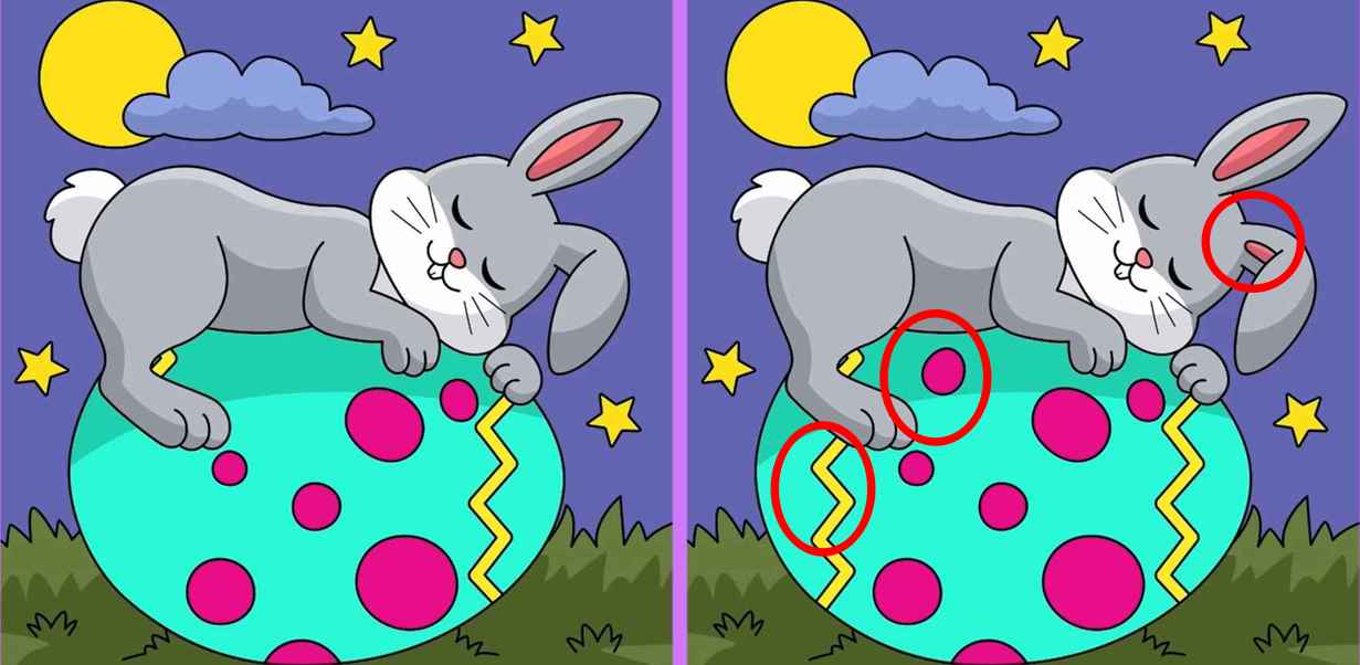 Τεστ παρατηρητικότητας, διαφορές, λαγουδάκι, πασχαλινό αυγό λύση