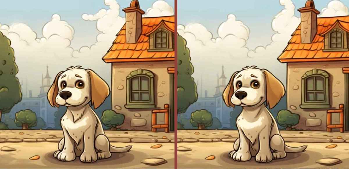 Τεστ παρατηρητικότητας, διαφορές, σκύλος