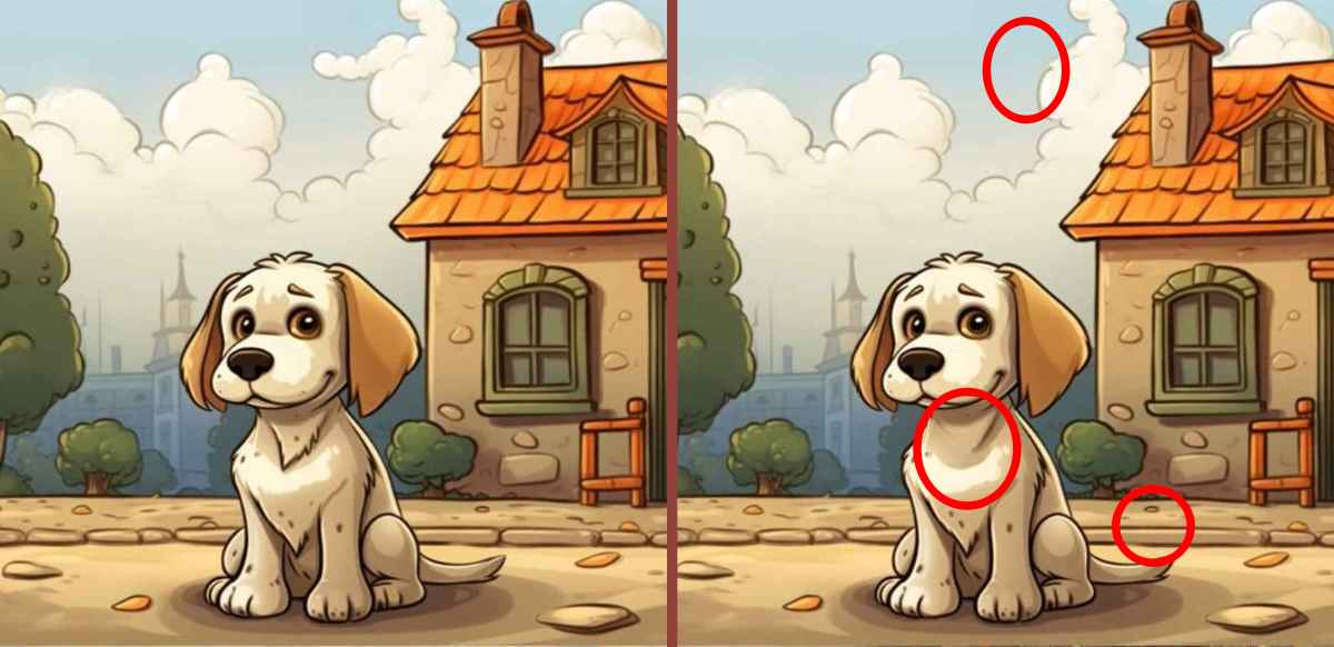 Τεστ παρατηρητικότητας, διαφορές, σκύλος λύση