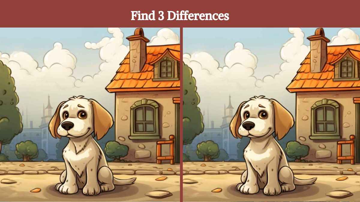 Τεστ παρατηρητικότητας, διαφορές, σκύλος