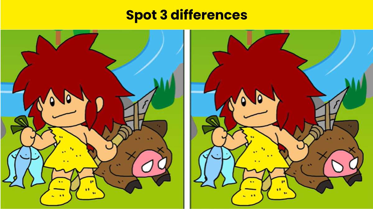 Τεστ παρατηρητικότητας, διαφορές