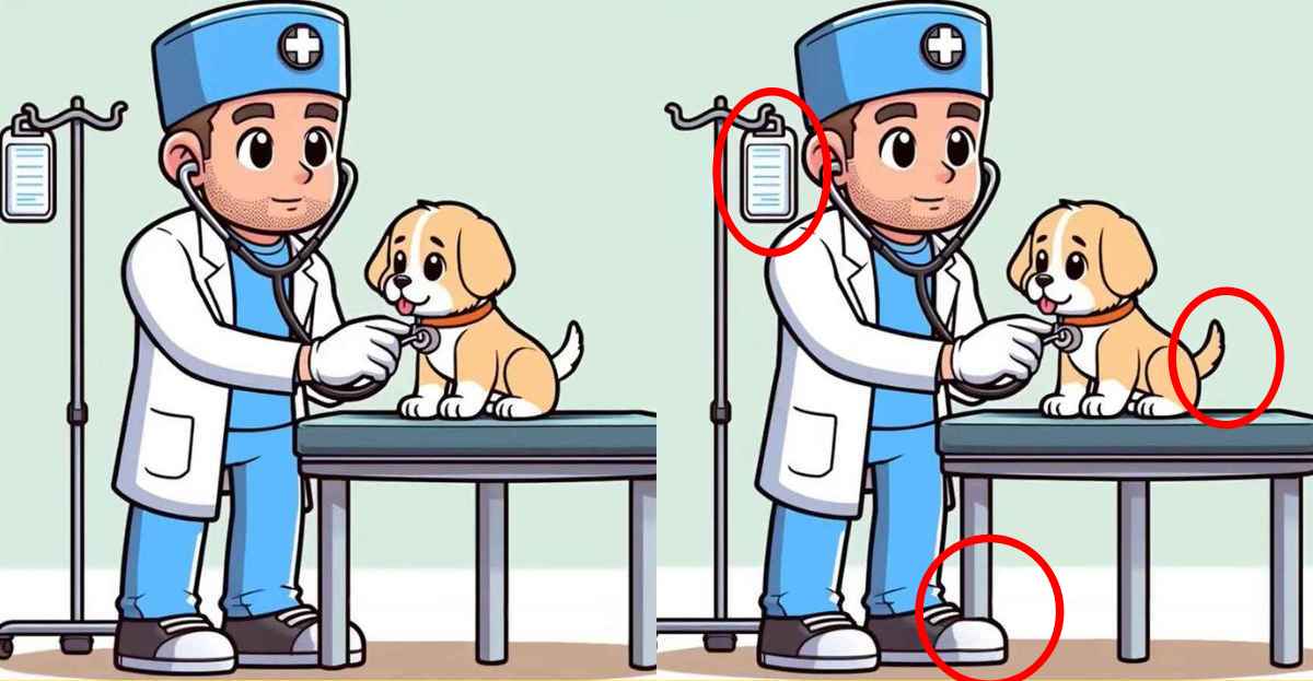 Τεστ παρατηρητικότητας, διαφορές, κτηνίατρος