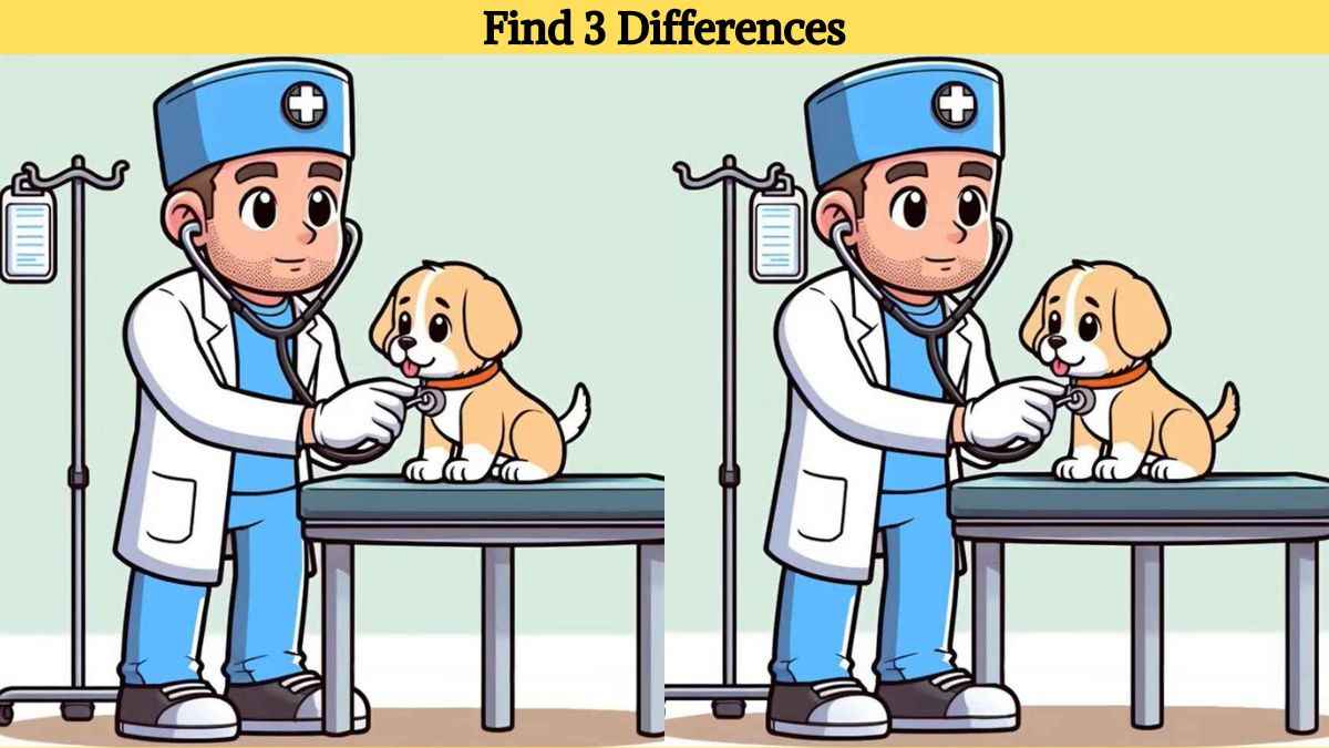 Τεστ παρατηρητικότητας, διαφορές, κτηνίατρος