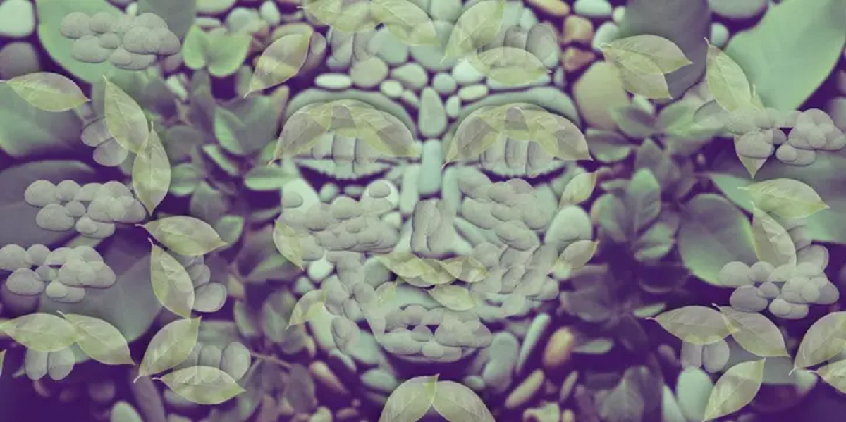 Τεστ προσωπικότητας: Αυτό που βλέπετε πρώτα θα αποκαλύψει τα κρυφά σας χαρακτηριστικά