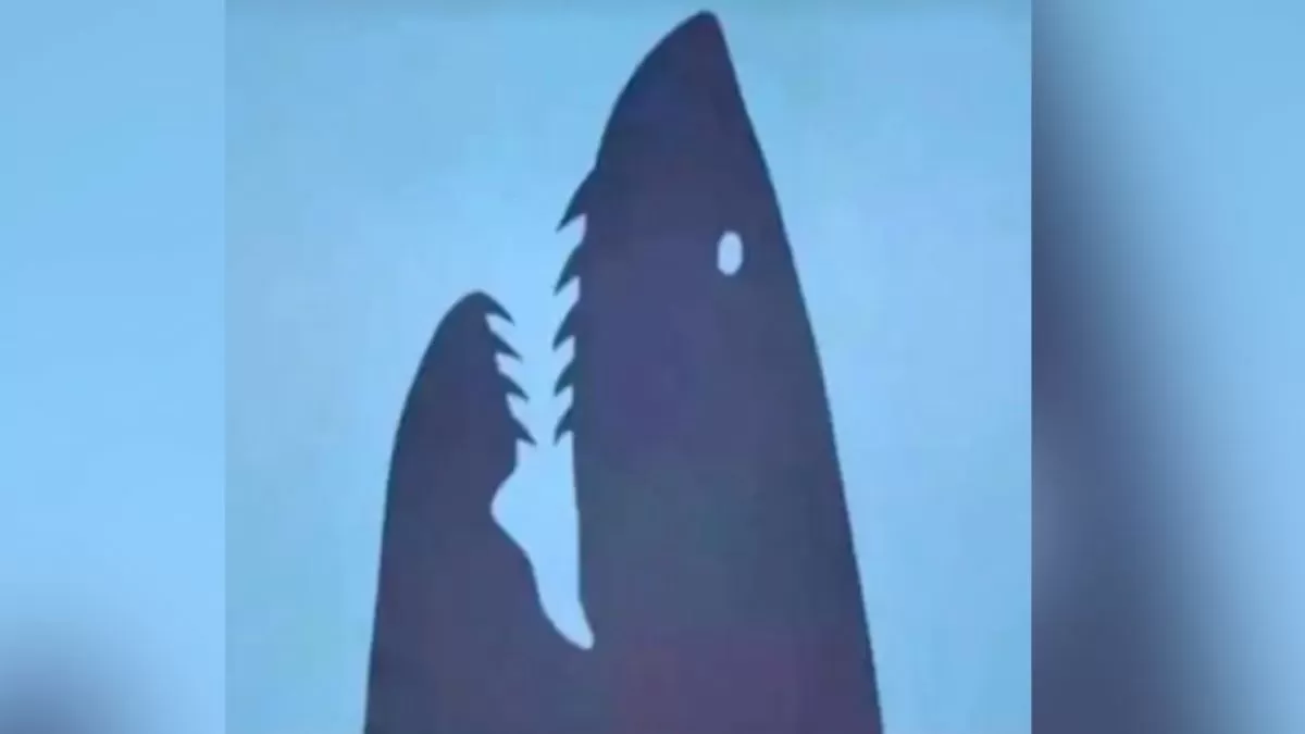 οπτική ψευδαίσθηση